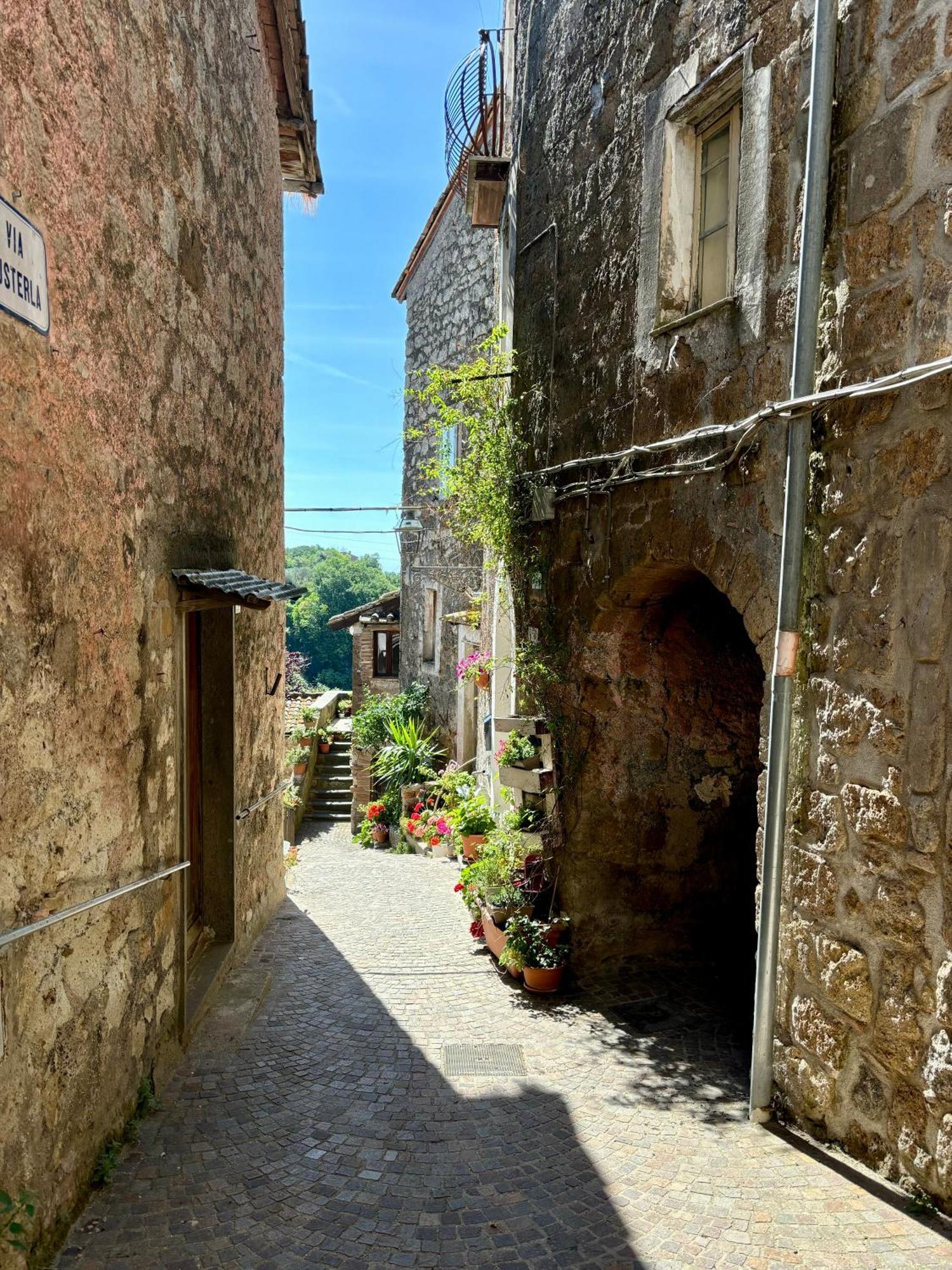 Borgo Vecchio Guest House Carbognano Extérieur photo