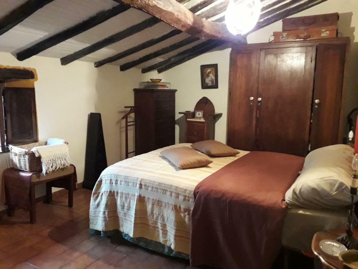 Borgo Vecchio Guest House Carbognano Extérieur photo