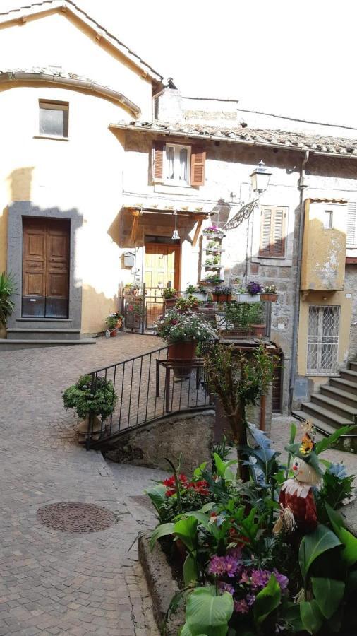 Borgo Vecchio Guest House Carbognano Extérieur photo